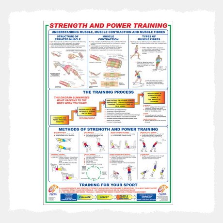 Sports Training Exercise Poster Charts