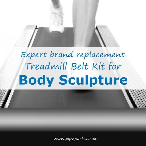 Body Sculpture Treadmill Belt (Expert Brand)