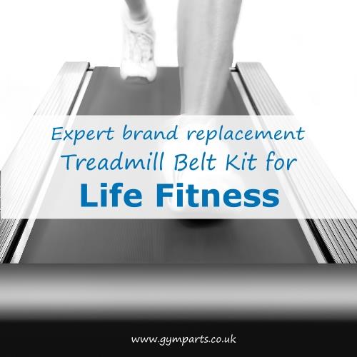 Life Fitness Treadmill Belt (Expert Brand)