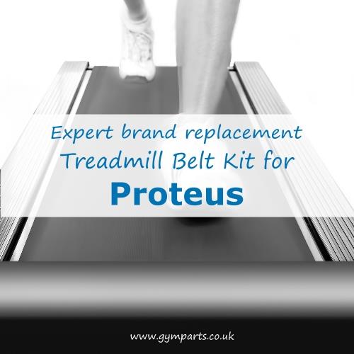 Proteus Treadmill Belt (Expert Brand)