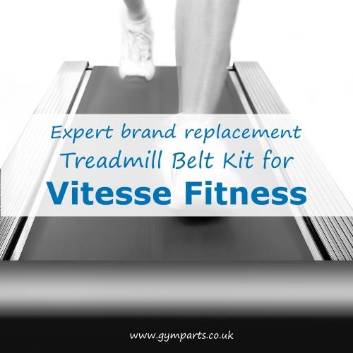 Vitesse Fitness Treadmill Belt (Expert Brand)