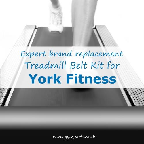 York Fitness Treadmill Belt (Expert Brand)