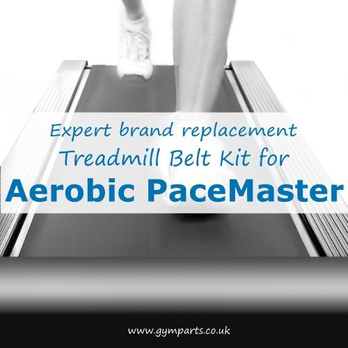 Aerobic Pacemaster Treadmill Belt (Expert Brand)