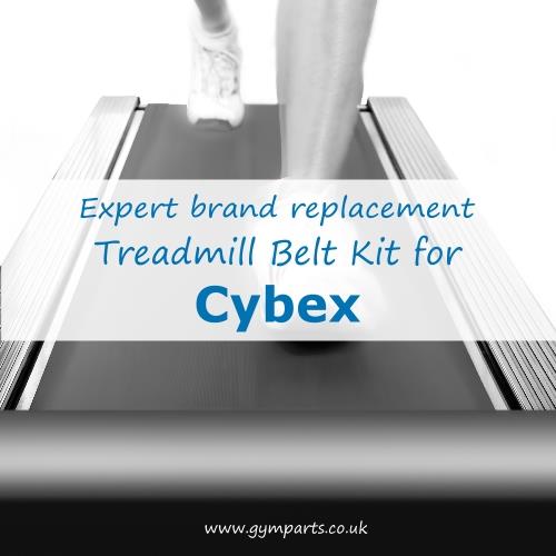 Cybex Treadmill Belt (Expert Brand)