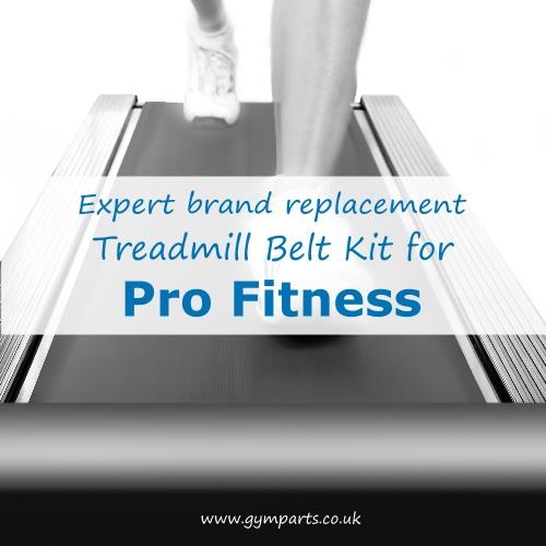 Pro Fitness Treadmill Belt (Expert Brand)