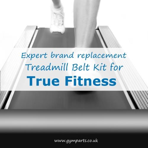 True Fitness Treadmill Belt (Expert Brand)