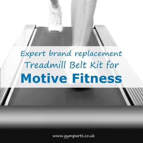 Motive Fitness Treadmill Belt (Expert Brand)