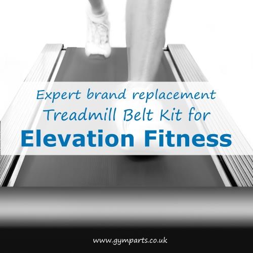 Elevation Fitness Treadmill Belt (Expert Brand)