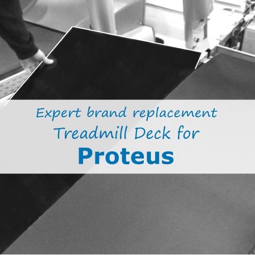 Proteus Treadmill Deck (Expert Brand)