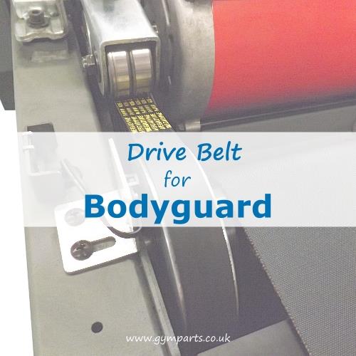BodyGuard Fitness Drive Belt