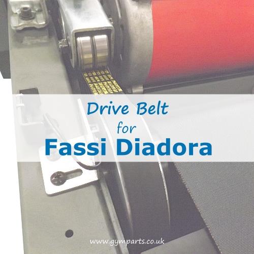 Fassi Diadora Drive Belt