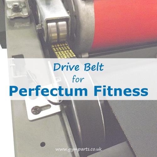 Perfectum Fitness Drive Belt