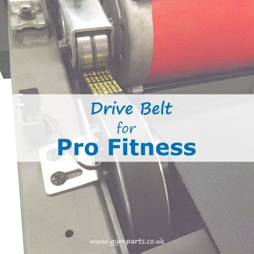 Pro Fitness Drive Belt