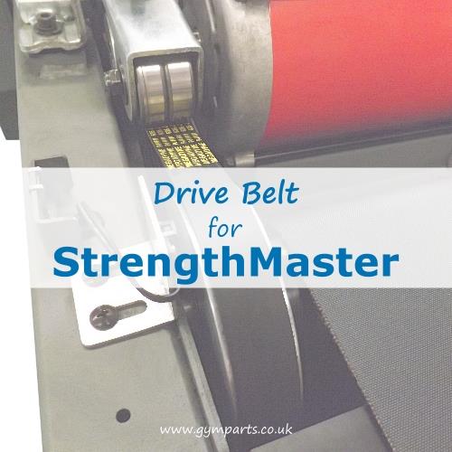 StrengthMaster Drive Belt