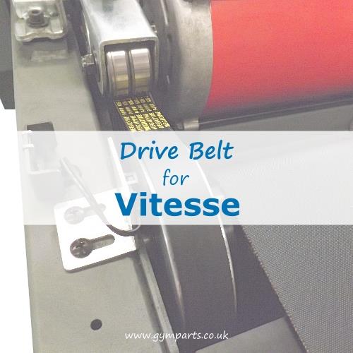 Vitesse Drive Belt