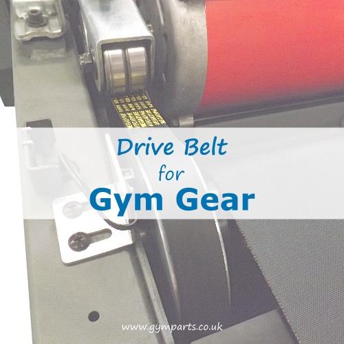 Gym Gear Drive Belt
