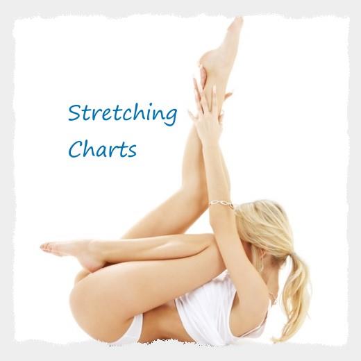 Stretching Poster Charts