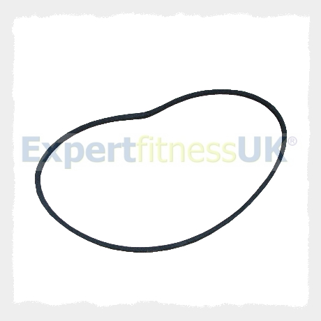 Carl Lewis EXS1 Magnetic Exercise Bike V Belt (Meets Original Spec)