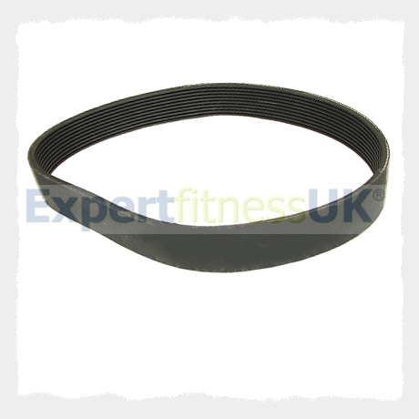 Strap Special Ribbed Belt for SportsTech CX610 Professional Crosstrainer bulktex ® 350 