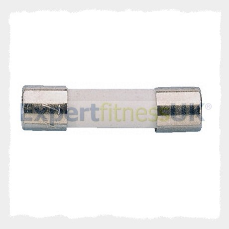 2Amp Ceramic Fuse