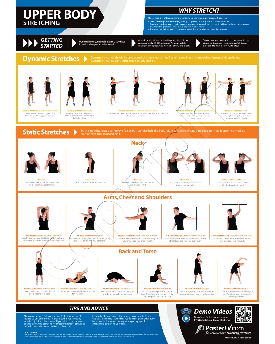 Upper Body Exercise Wall Chart Poster