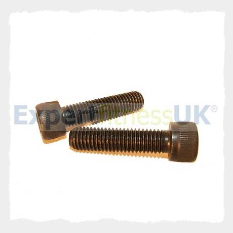 Powerjog Treadmill Drive/Slave Roller Bolts