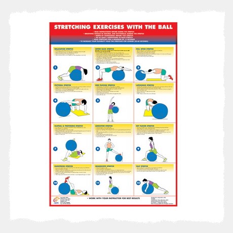 Stretching Exercises with the Ball Wall Chart Poster