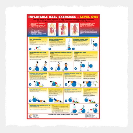 Inflatable Ball Exercises (Level1) Wall Chart Poster