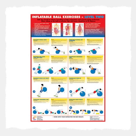 Inflatable Ball Exercises (Level2) Wall Chart Poster