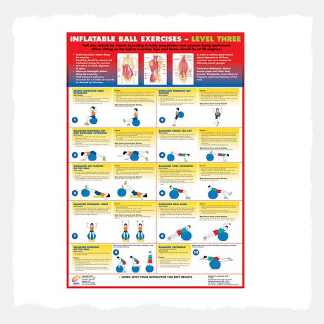 Inflatable Ball Exercises (Level3) Wall Chart Poster