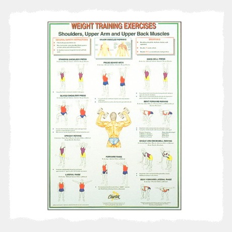 Shoulder Chart Workout