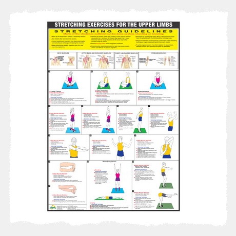 Stretching Chart (The Upper Limbs) Wall Chart Poster