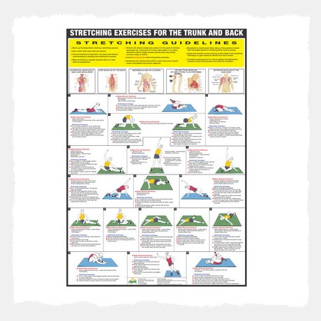 Stretching Chart (The Trunk & Back) Wall Chart Poster