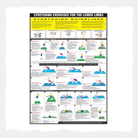 Stretching Chart (The Lower Limbs) Wall Chart Poster