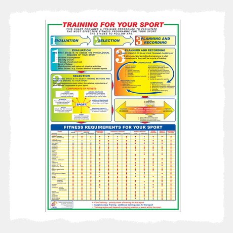 Training / Education (Training For Sport) Wall Chart Poster