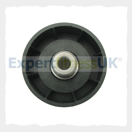 Life Fitness Drive Belt Idler Pulley